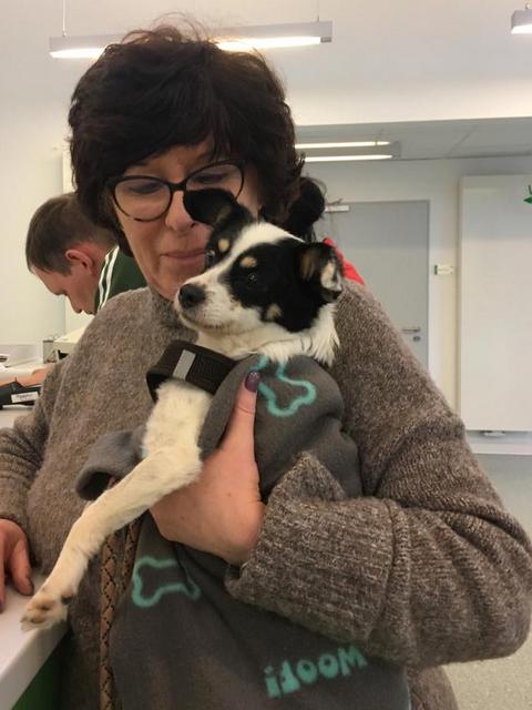 1 PHOTO 2020 02 14 20 47 56