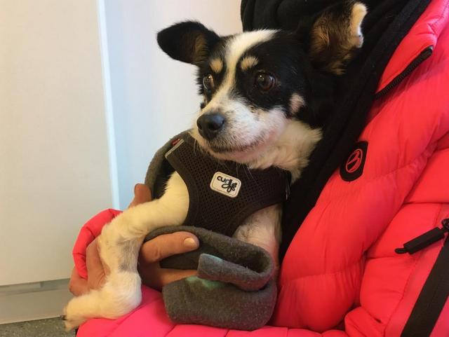 1 PHOTO 2020 02 14 20 47 57