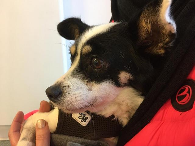 1 PHOTO1 2020 02 14 20 47 56