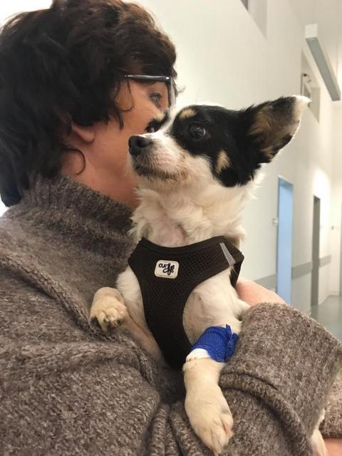 1 PHOTO2 2020 02 14 20 47 57