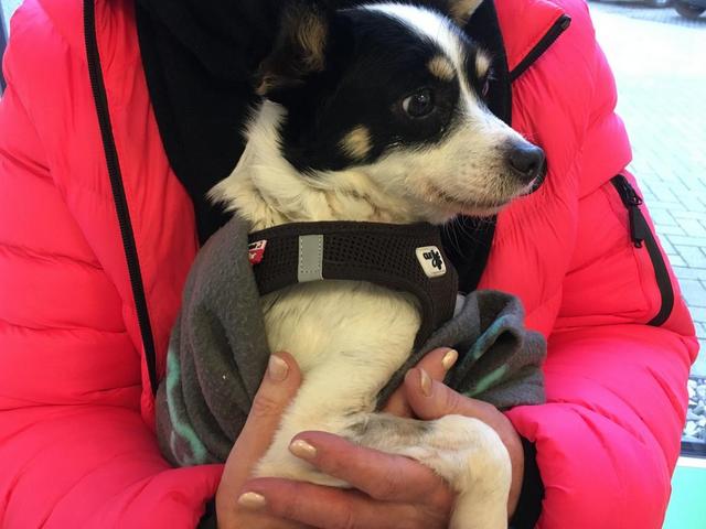 1 PHOTO3 2020 02 14 20 47 57