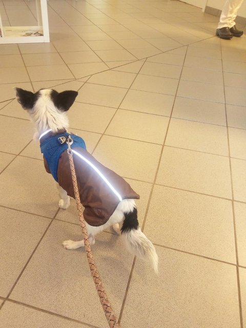 1 PHOTO 2020 02 10 19 42 22