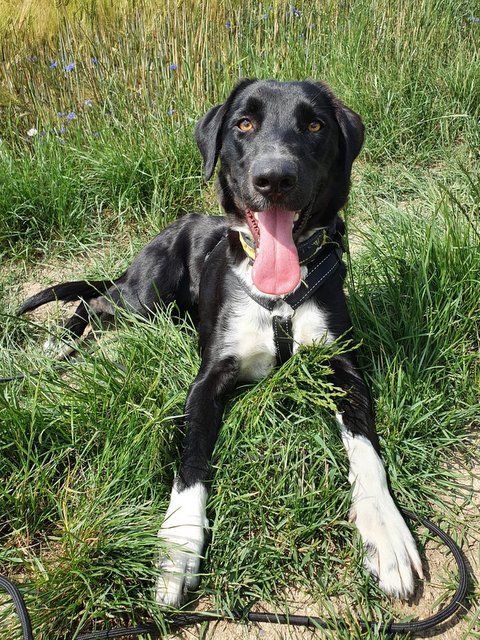 1 PHOTO 2020 06 20 17 57 31