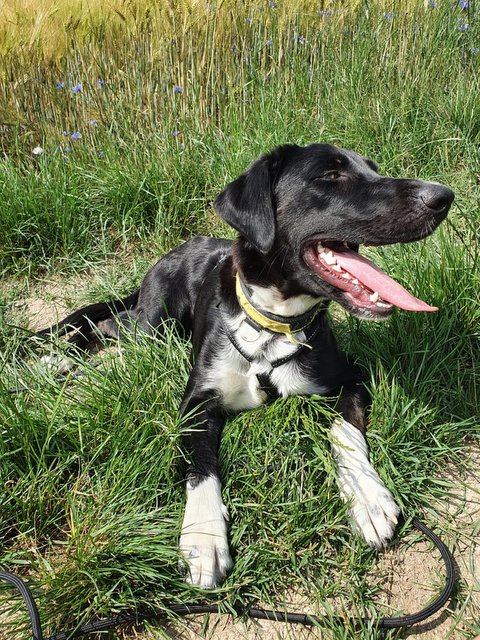 1 PHOTO2 2020 06 20 17 57 31