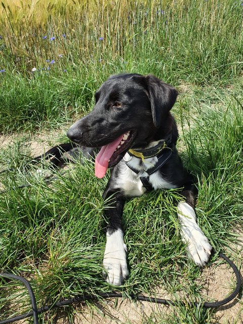 1 PHOTO3 2020 06 20 17 57 31