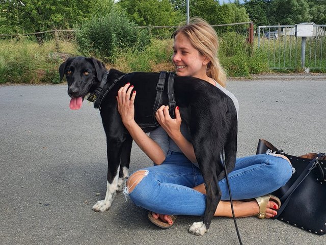 1 PHOTO4 2020 06 20 17 58 34