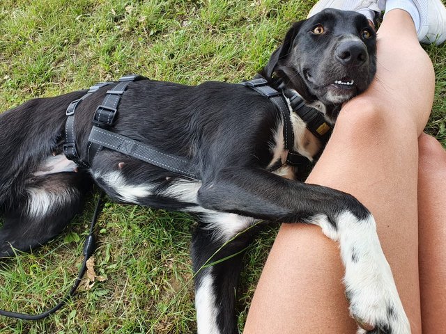 1 PHOTO6 2020 06 20 17 58 34