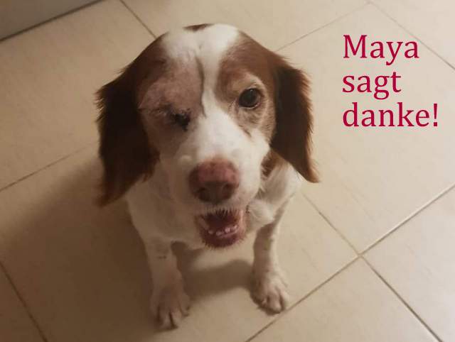 1 PHOTO 2020 10 27 18 40 034