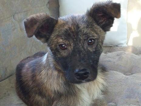 1 PHOTO6 2020 05 23 09 11 34