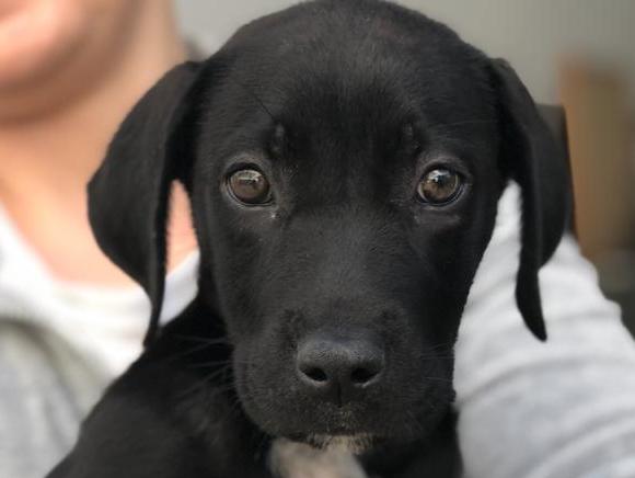 1 PHOTO 2020 11 21 17 34 21