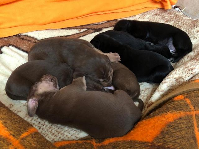 1 PHOTO 2020 01 05 11 54 08