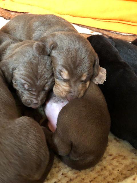 1 PHOTO1 2020 01 05 11 54 08