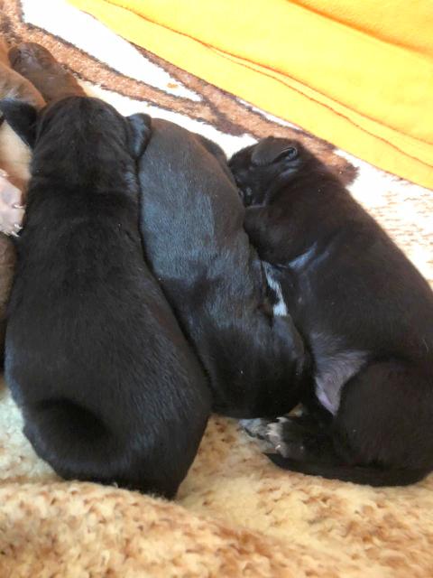 1 PHOTO2 2020 01 05 11 54 09