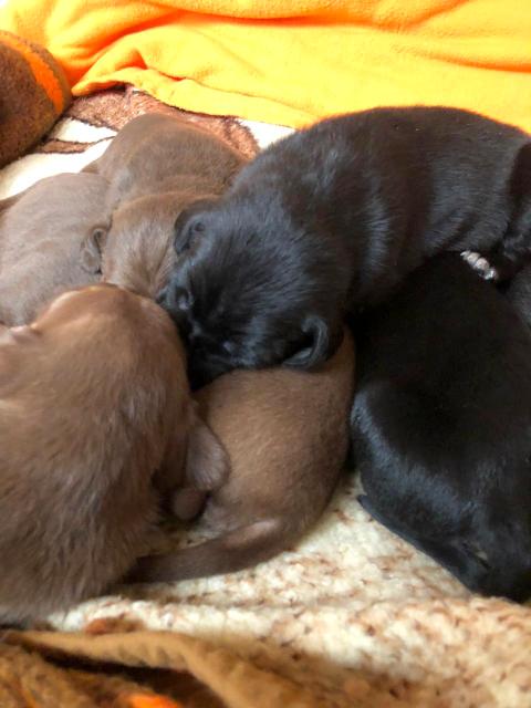 1 PHOTO3 2020 01 05 11 54 09