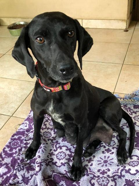 1 PHOTO5 2020 01 05 11 54 09