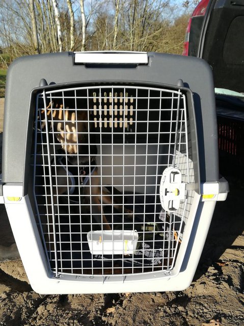 1 PHOTO 2020 03 21 16 51 34