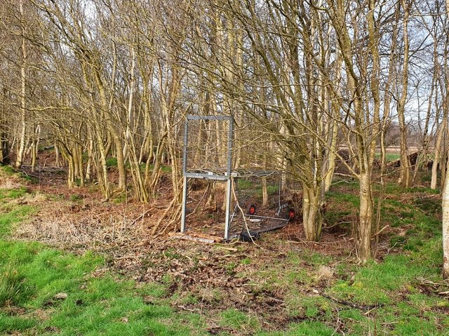 1 PHOTO1 2020 03 19 18 19 14