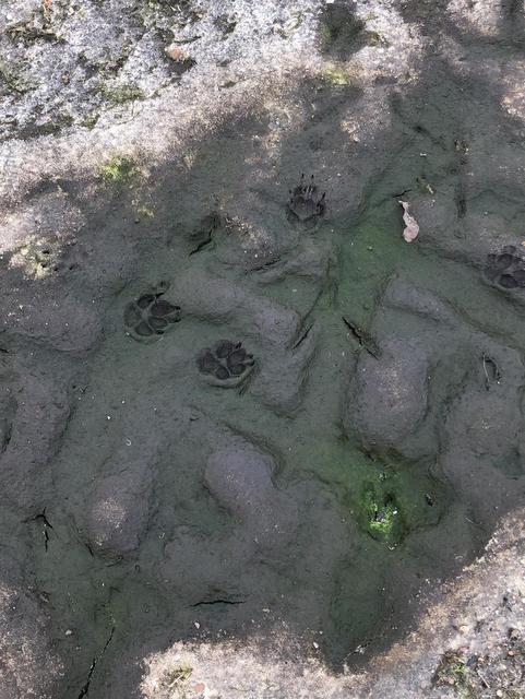 1 PHOTO2 2020 03 20 11 25 13