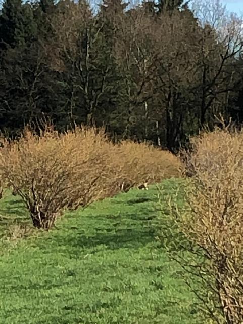 1 PHOTO3 2020 03 21 14 57 52