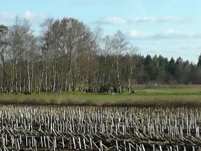 1 PHOTO5 2020 03 21 16 18 25