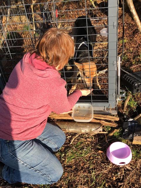 1 PHOTO7 2020 03 21 17 11 55