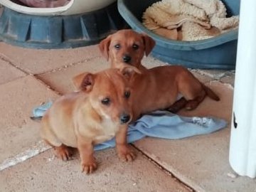 1 1 PHOTO 2020 04 23 14 34 02