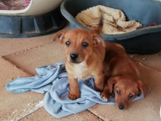 1 1 PHOTO 2020 04 23 14 34 03