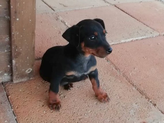 1 1 PHOTO 2020 04 23 14 34 04