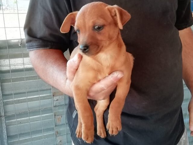 1 1PHOTO 2020 04 23 14 33 59