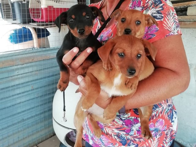 1 4PHOTO 2020 04 23 14 34 00