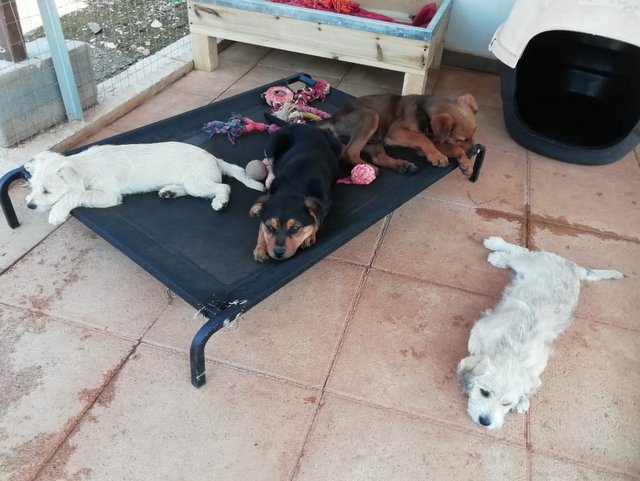 1 PHOTO 2020 04 23 14 32 47