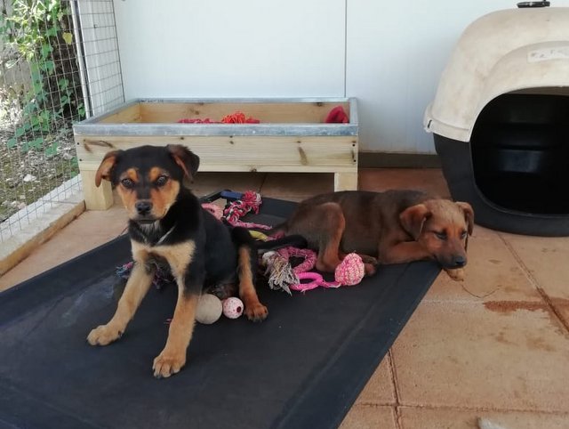 1 PHOTO 2020 04 23 14 32 51