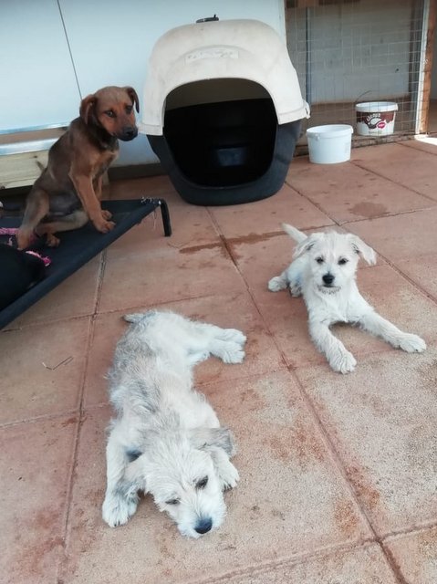 1 PHOTO 2020 04 23 14 32 52