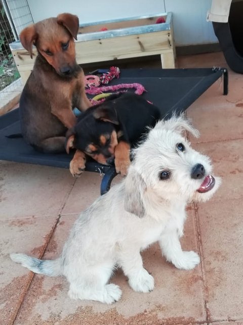 1 PHOTO 2020 04 23 14 32 53