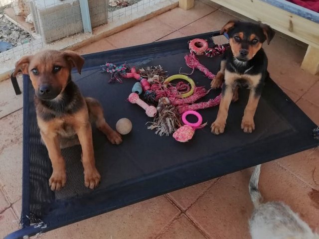 1 PHOTO 2020 04 23 14 32 57