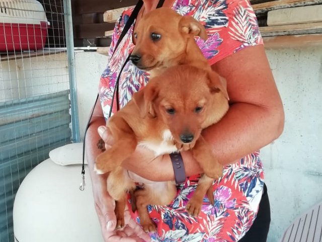 1 PHOTO 2020 04 23 14 33 59