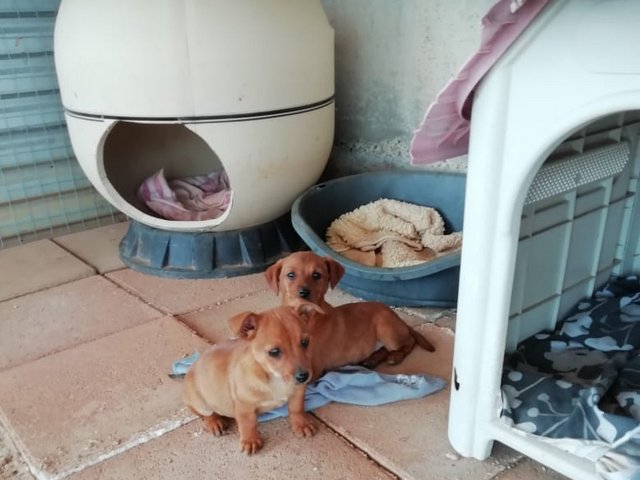 1 PHOTO 2020 04 23 14 34 02