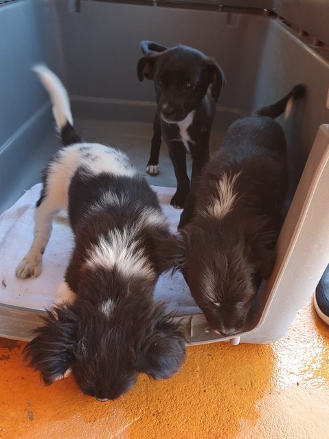 1 PHOTO 2020 04 27 18 15 03