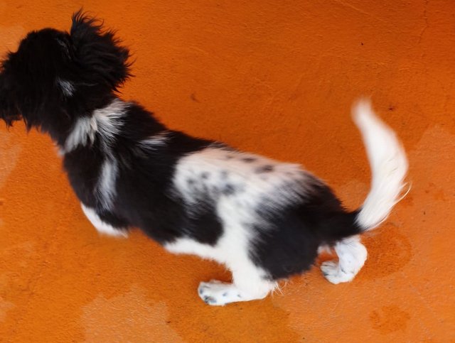 1 PHOTO4 2020 04 27 18 15 00