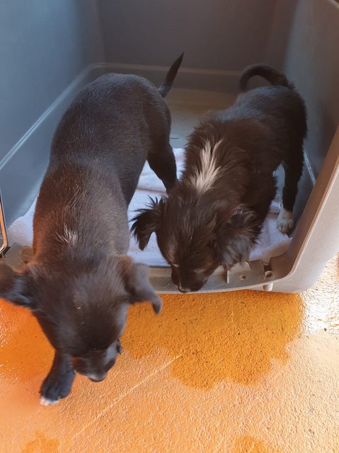 1 PHOTO6 2020 04 27 18 15 01