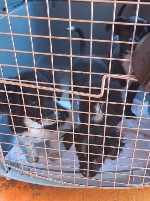 1 PHOTO7 2020 04 27 18 15 03