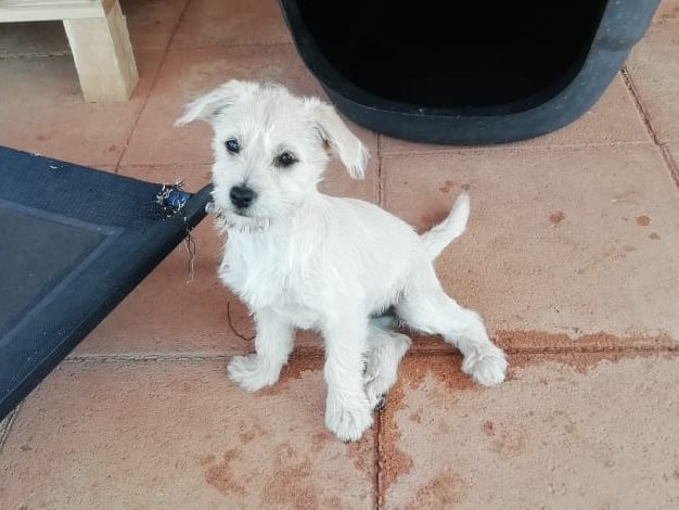 1 PHOTO 2020 04 26 09 03 30