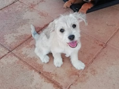 1 PHOTO 2020 04 26 09 03 58