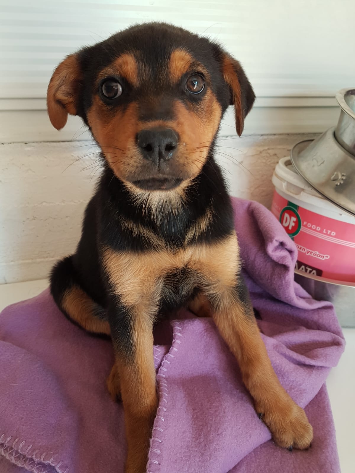 PHOTO 2020 04 26 08 53 29