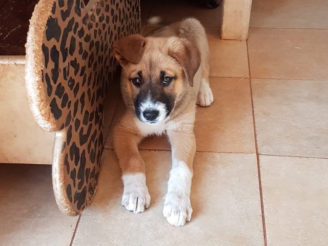 1 PHOTO 2020 04 26 08 57 25