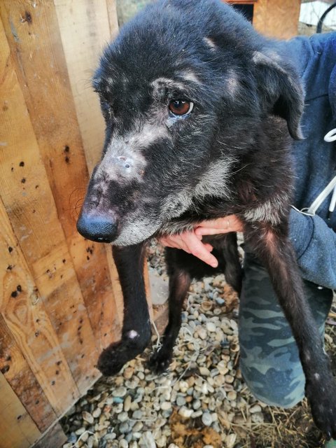 1 PHOTO 2020 01 25 23 28 38