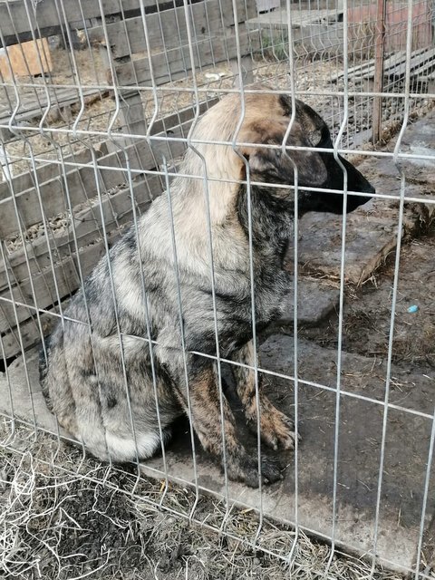 1 PHOTO5 2020 01 25 23 48 17