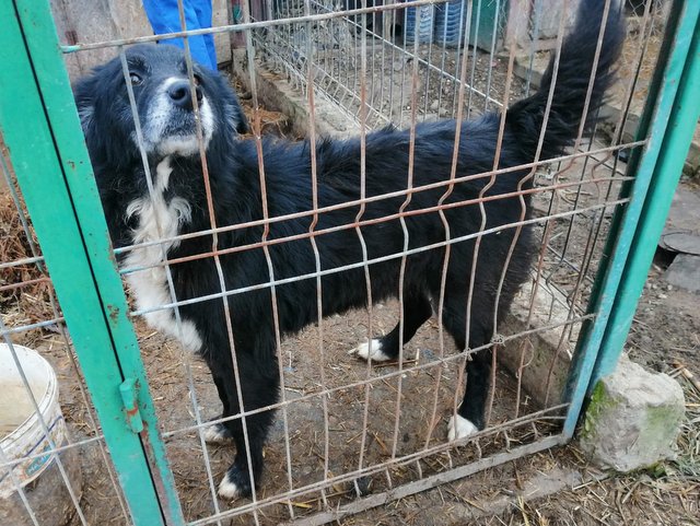 1 PHOTO6 2020 01 25 23 48 17