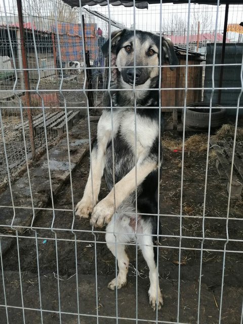 1 PHOTO8 2020 01 25 23 48 18