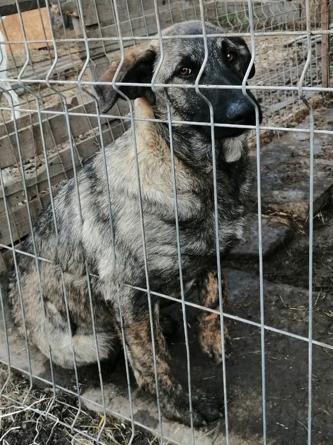 1 PHOTO9 2020 01 25 23 48 18